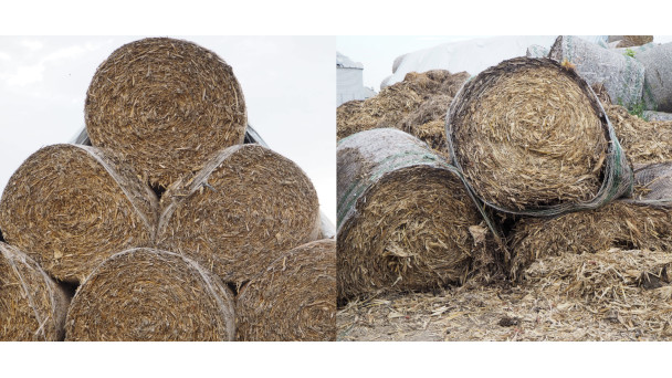 Corn stalk bales